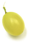 CICCHO BIANO